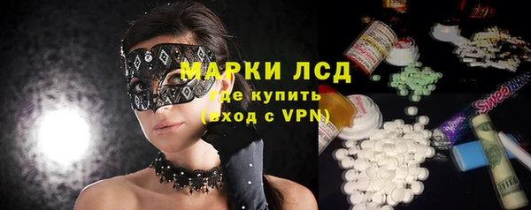 apvp Магас