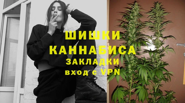 тгк Майский