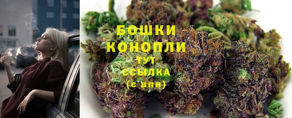 шишки Вязники