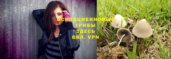 тгк Майский