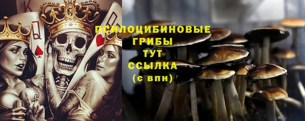 тгк Майский